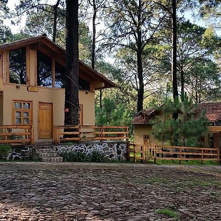 Cabanas Los Abuelos مازاميتلا المظهر الخارجي الصورة